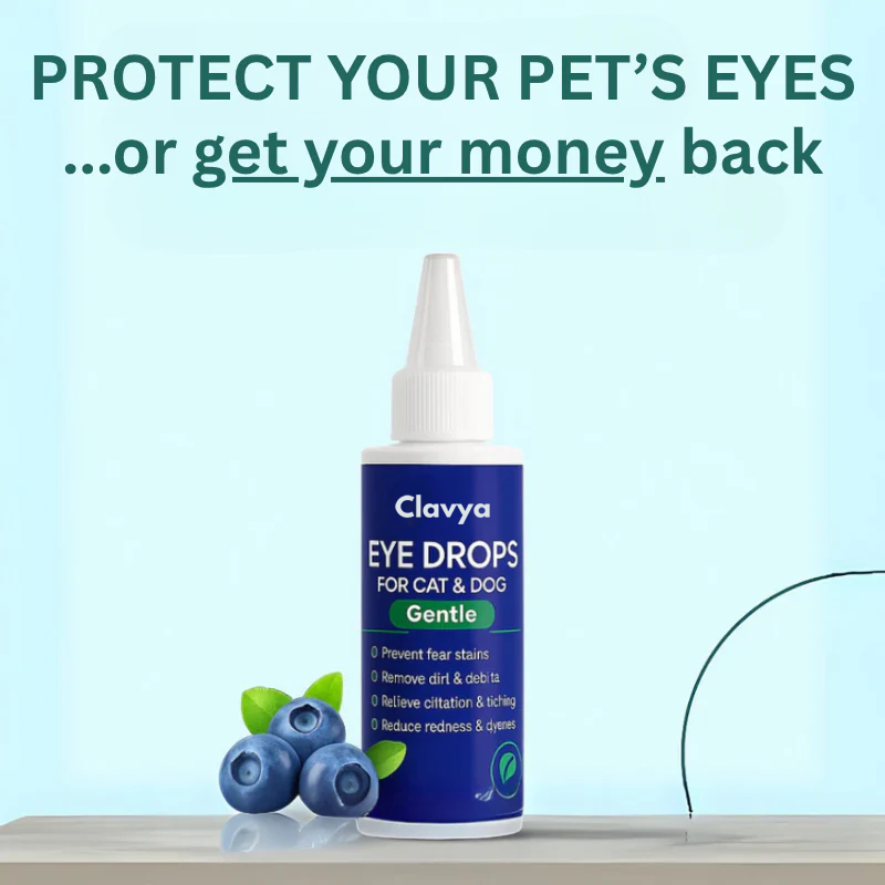 Clavya™ Pet Eye Drops – Blueberry Soothing Formula for Allergy & Irritation