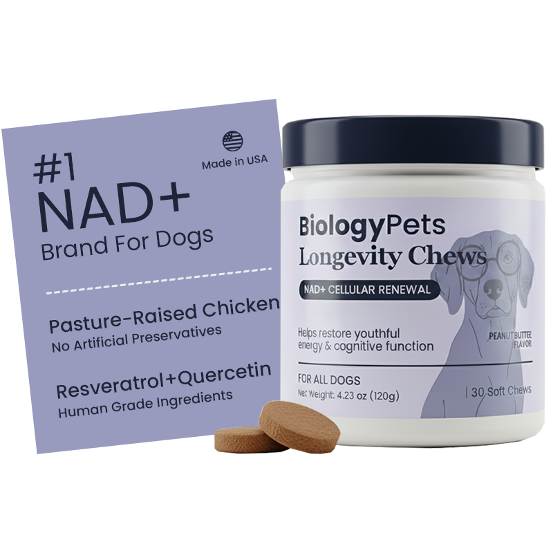 NAD+ Longevity & Healthy Aging Soft Chews for Dogs