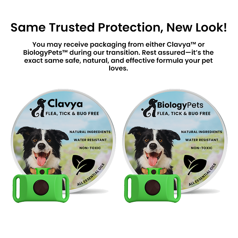 Natural Flea and Tick Tags