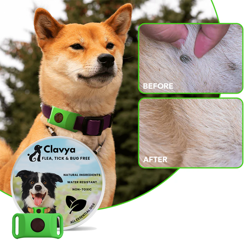 Natural Flea and Tick Tags