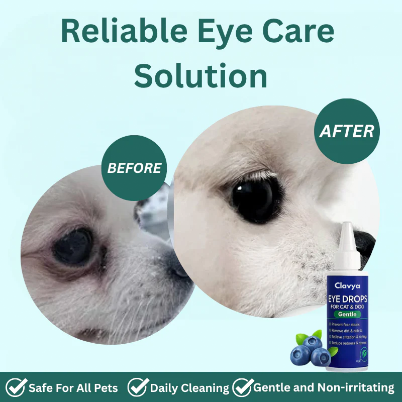Clavya™ Pet Eye Drops – Blueberry Soothing Formula for Allergy & Irritation