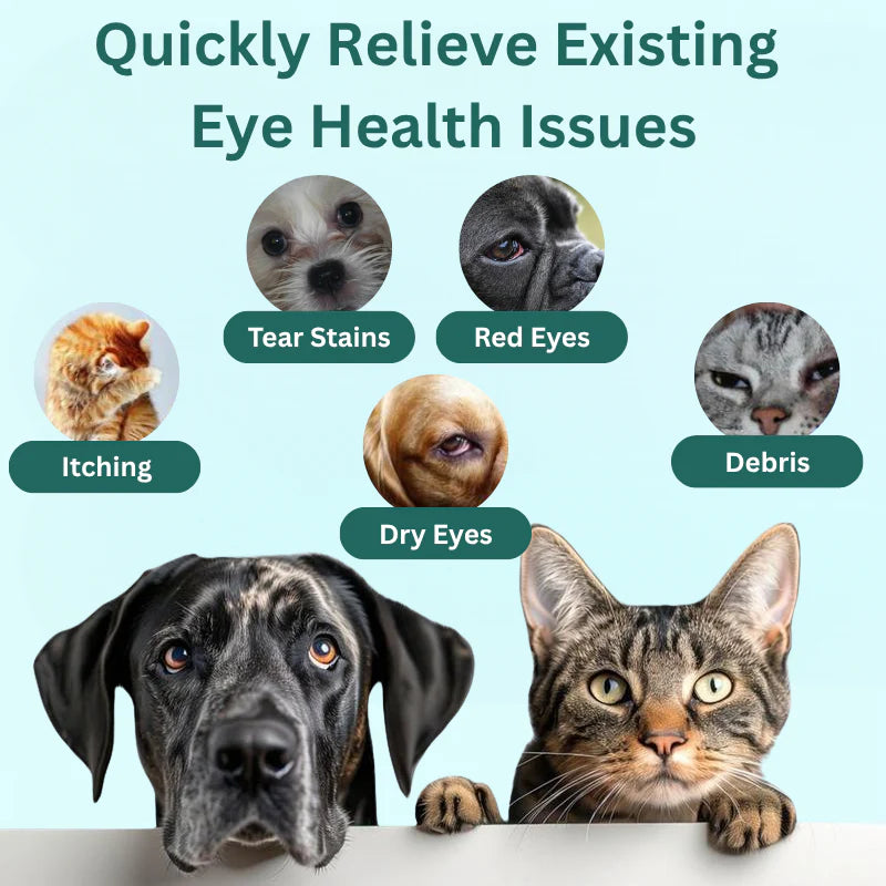Clavya™ Pet Eye Drops – Blueberry Soothing Formula for Allergy & Irritation