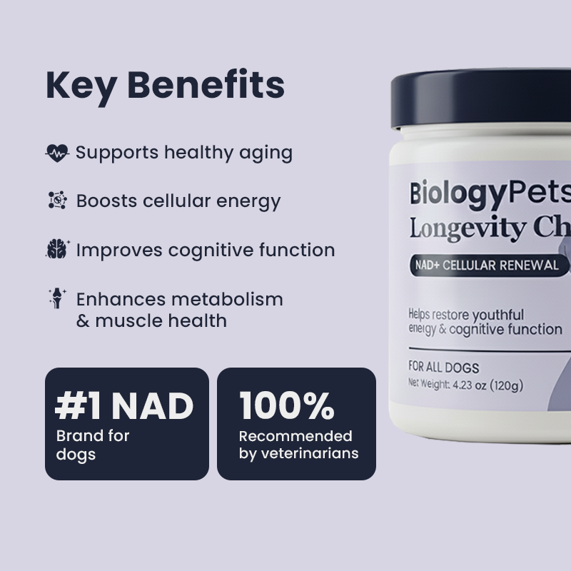 NAD+ Longevity & Healthy Aging Soft Chews for Dogs