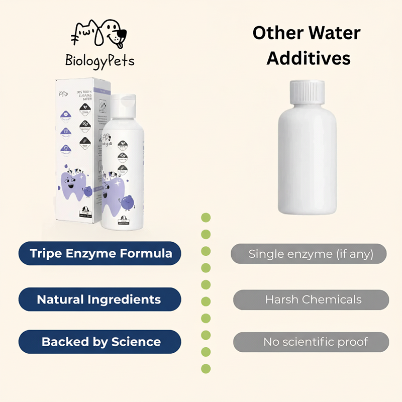 BiologyPets™ Dental+ Water For Dogs