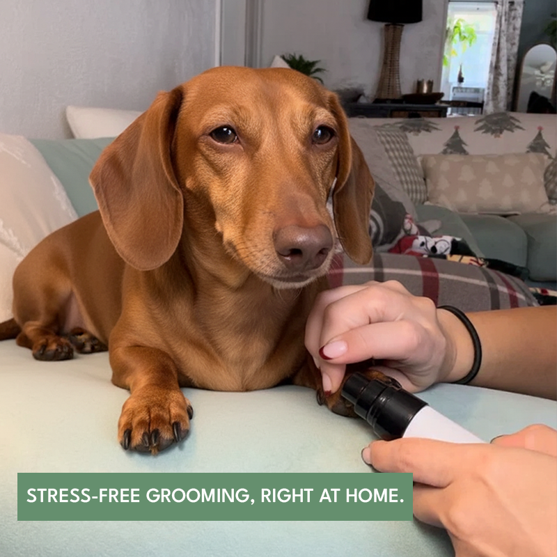 WhisperPaw Pro - Eliminate Stress, Fear & Discomfort During Nail Trims.