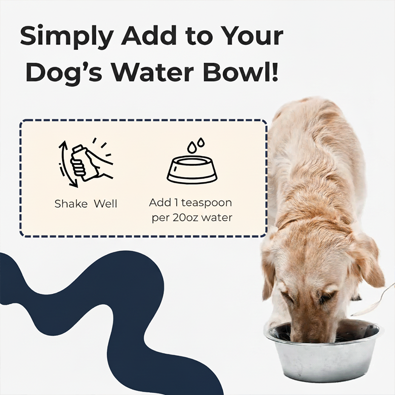 BiologyPets™ Dental+ Water For Dogs