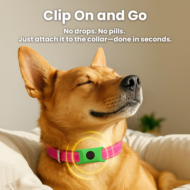 Natural Flea and Tick Tags