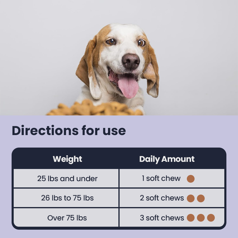 NAD+ Longevity & Healthy Aging Soft Chews for Dogs
