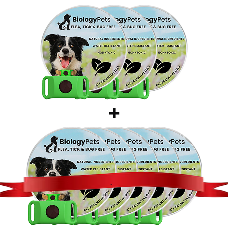 12 Months Natural Flea and Tick Tags For Dogs