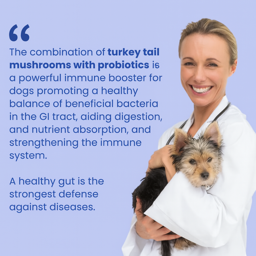Turkey Tail+ Probiotics For Dogs