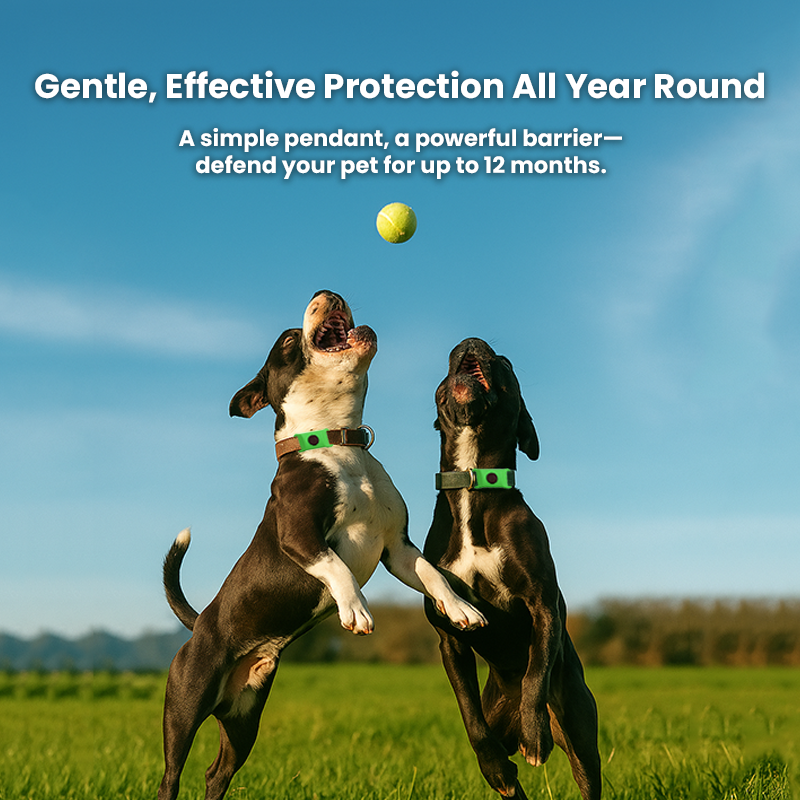 Natural Flea and Tick Tags