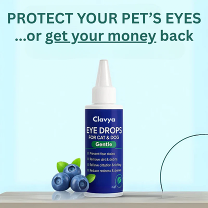 Clavya™ Pet Eye Drops – Blueberry Soothing Formula for Allergy & Irritation