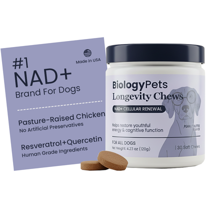 NAD+ Longevity & Healthy Aging Soft Chews for Dogs