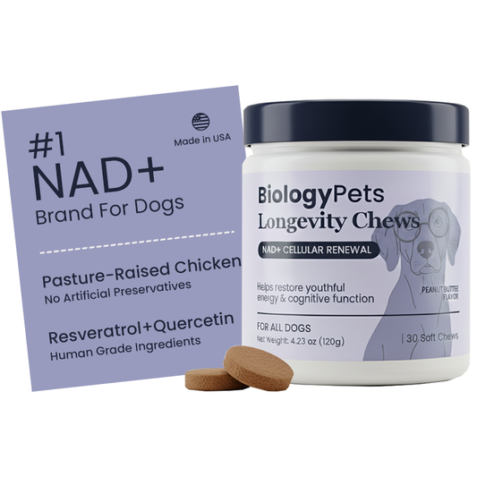 NAD+ Longevity & Healthy Aging Soft Chews for Dogs