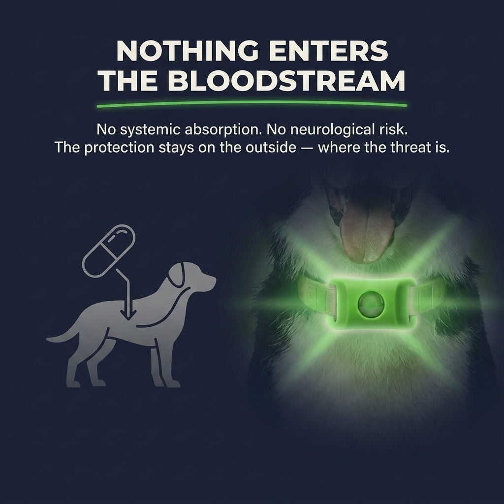 BiologyPets™ - 12 Months Natural Flea & Tick Tags For Dogs
