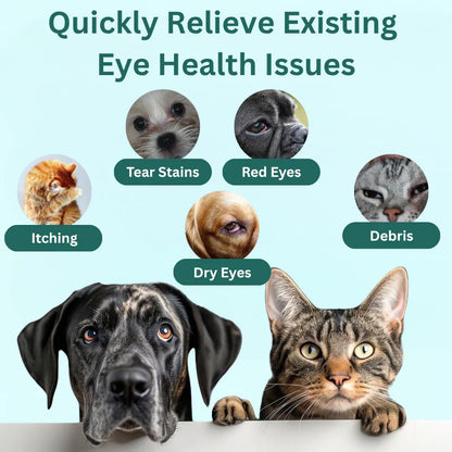 Clavya™ Pet Eye Drops – Blueberry Soothing Formula for Allergy & Irritation