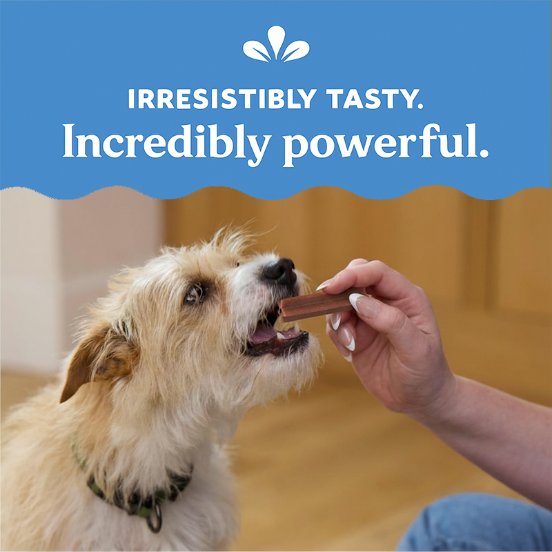 BiologyPets - Natural Dental Chews for Dogs