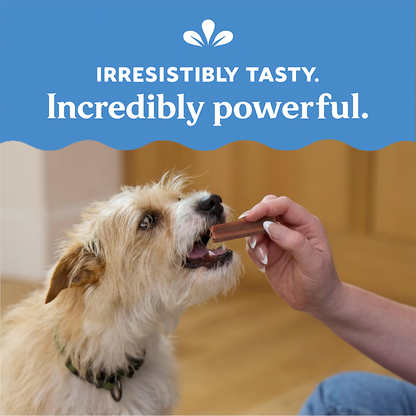 BiologyPets - Natural Dental Chews for Dogs