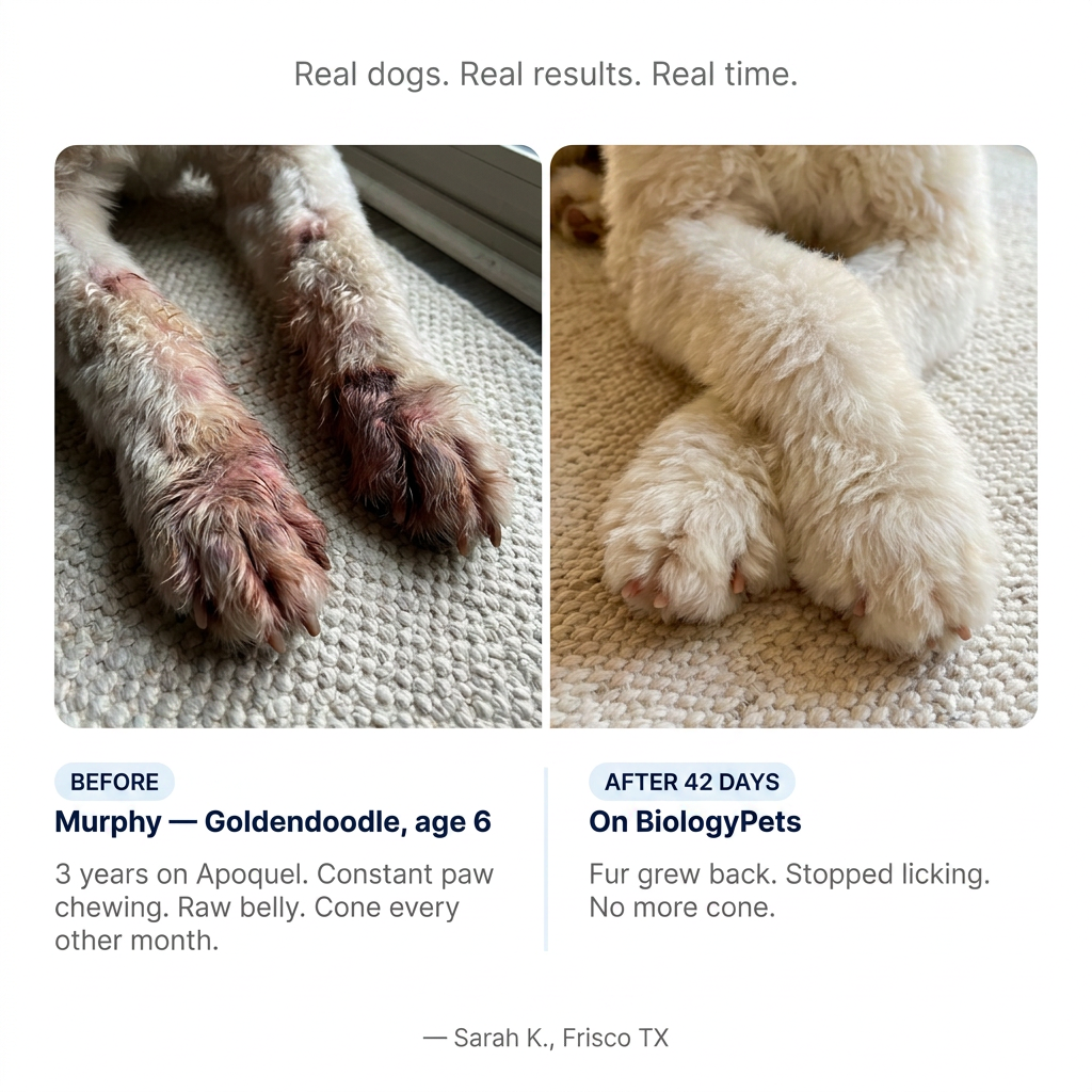 Biologypets Triple-Seal Matrix™ - Liquid Collagen for Dogs