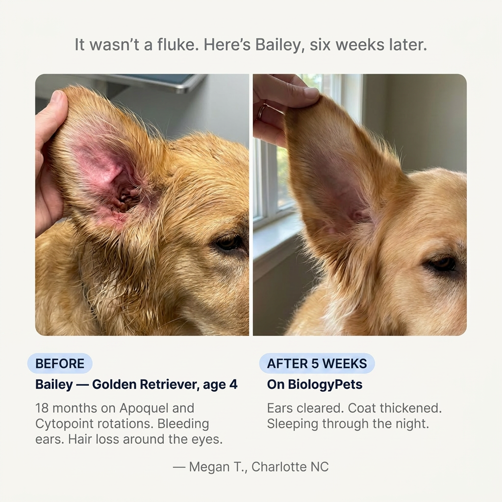 Biologypets Triple-Seal Matrix™ - Liquid Collagen for Dogs