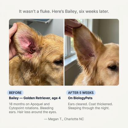 Biologypets Triple-Seal Matrix™ - Liquid Collagen for Dogs