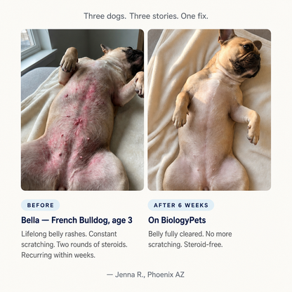 Biologypets Triple-Seal Matrix™ - Liquid Collagen for Dogs