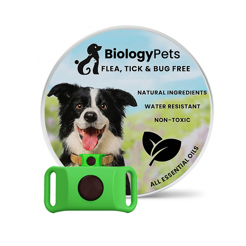 12 Months Natural Flea and Tick Tags For Dogs
